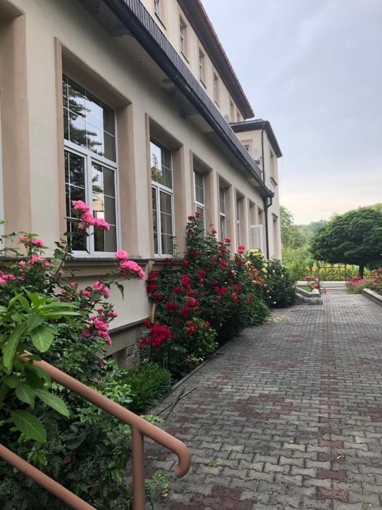 Grandhotel Novy Bor Nový Bor Exterior foto
